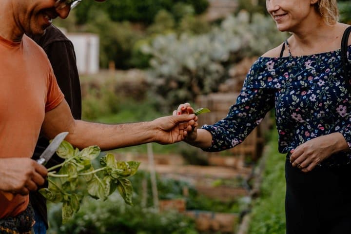 Tenerife's Hidden Oasis Cover: Sustainable Farm Tour