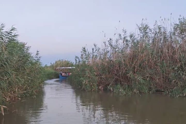 Albufera Magic Sunset Boat Trip and Paella