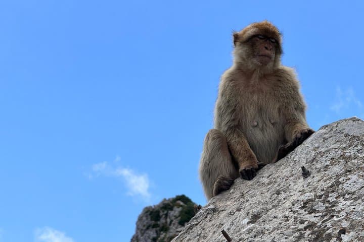 Gibraltar Private Daytrip from Cadiz
