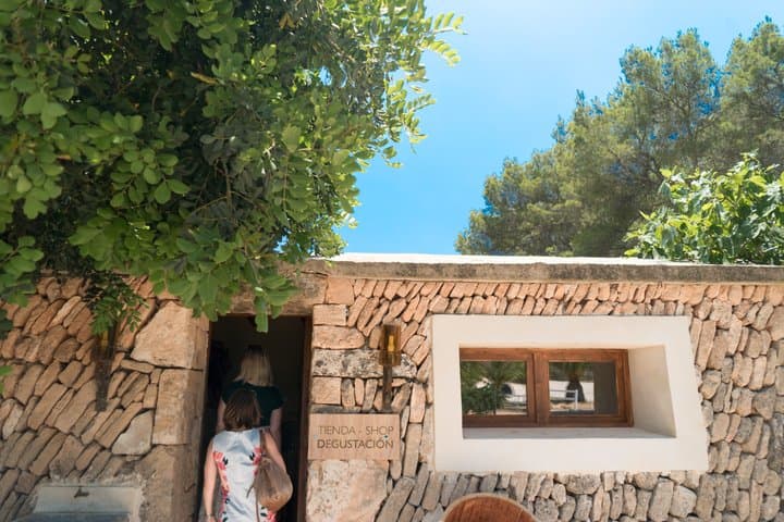 Mallorca Winery tour and tasting of 5 wines with tapas