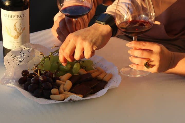 Wine and Sail Private Wine Tasting on Catamarán