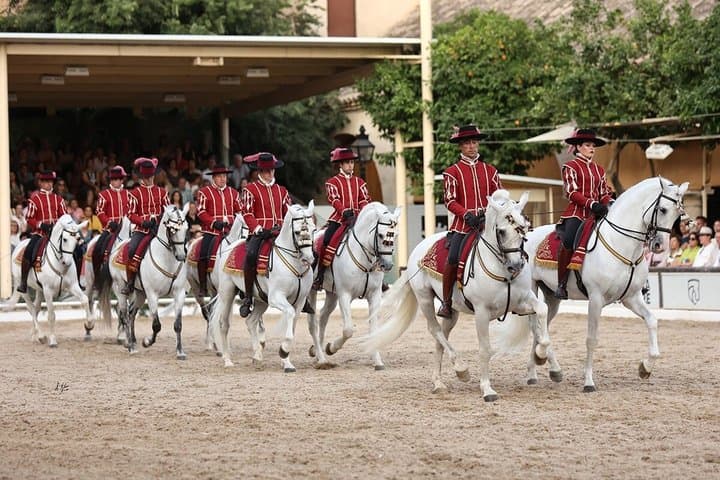 Equestrian Show Royal Stables of Córdoba