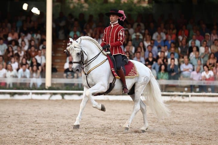 Equestrian Show Royal Stables of Córdoba