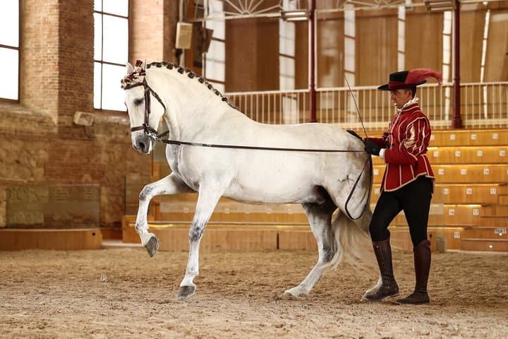 Equestrian Show Royal Stables of Córdoba
