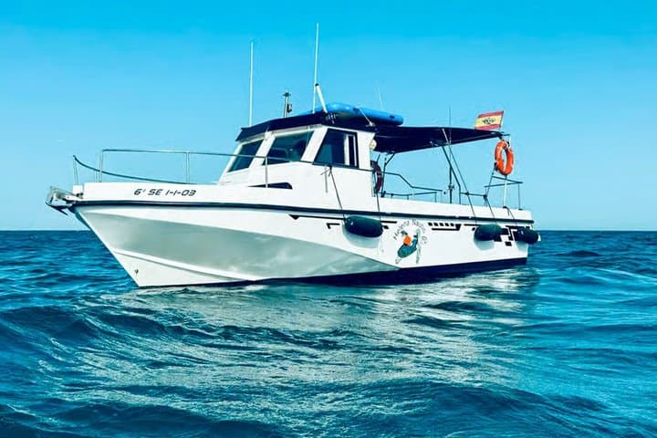 Benalmadena Private Boat Tour : OpenBar, Swimming Fun & Dolphins