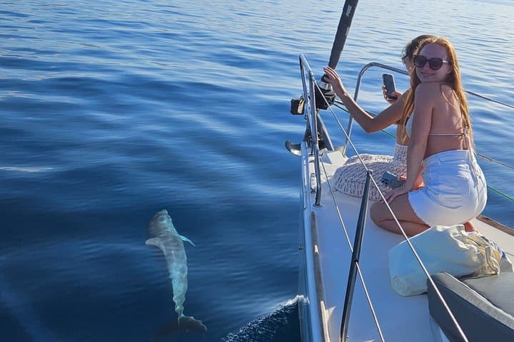 Private Experience, Elan 37 Dolphins Marbella 2.5 hours,drinks