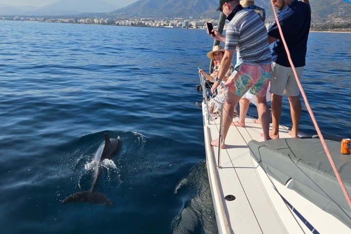 Private Experience, Elan 37 Dolphins Marbella 2.5 hours,drinks