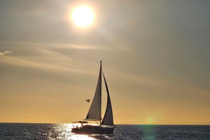Private Experience, Elan 37 Dolphins Marbella 2.5 hours,drinks