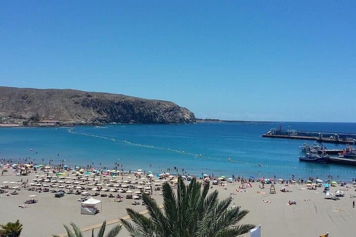 Tenerife South Beaches Tour with Guide