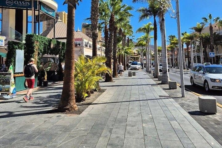 Tenerife South Beaches Tour with Guide