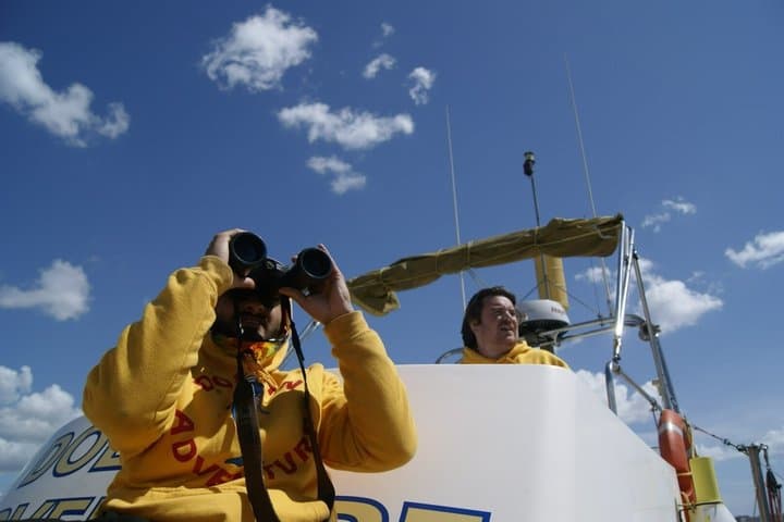 Gibraltar and Dolphin Watching Excursion from Malaga