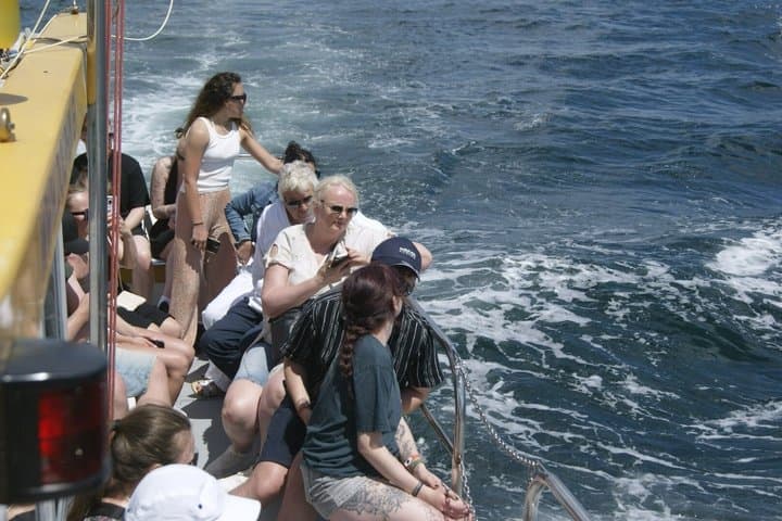 Gibraltar and Dolphin Watching Excursion from Malaga