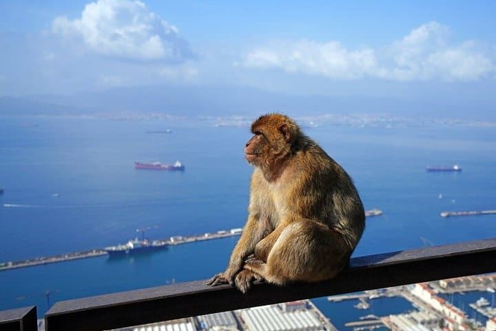 From Costa del Sol: The Gibraltar Classic Rock tour