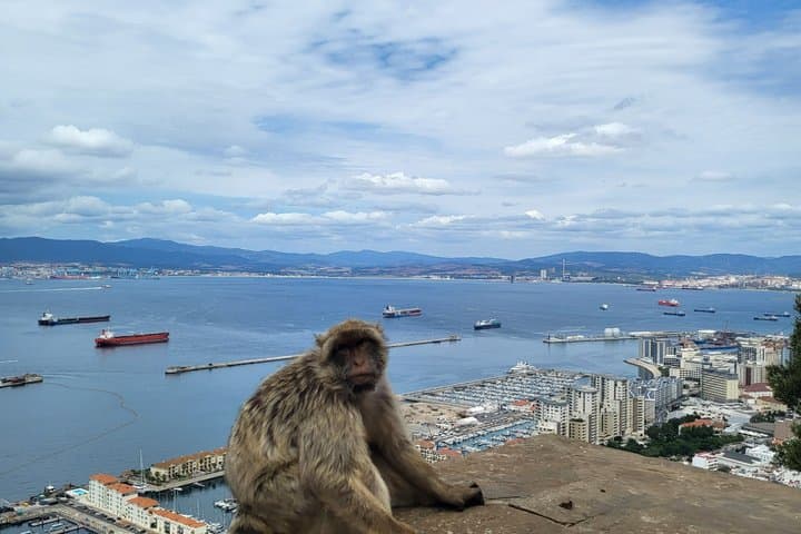 From Costa del Sol: The Gibraltar Classic Rock tour