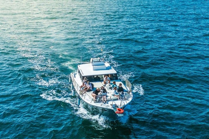 Dolphin Searching Sunset Cruise with Bottle of Cava & Snacks