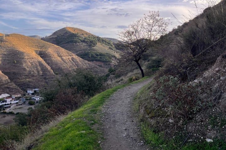 City to Trail Running Experience