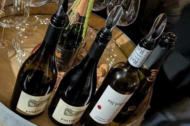 Wine Tasting Experience in Valencia’s Old Town