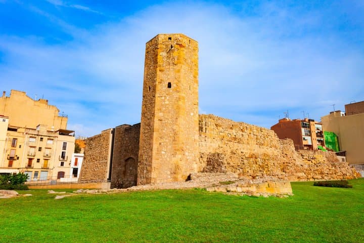 Private Shore Tour: Tarragona Roman Heritage & City