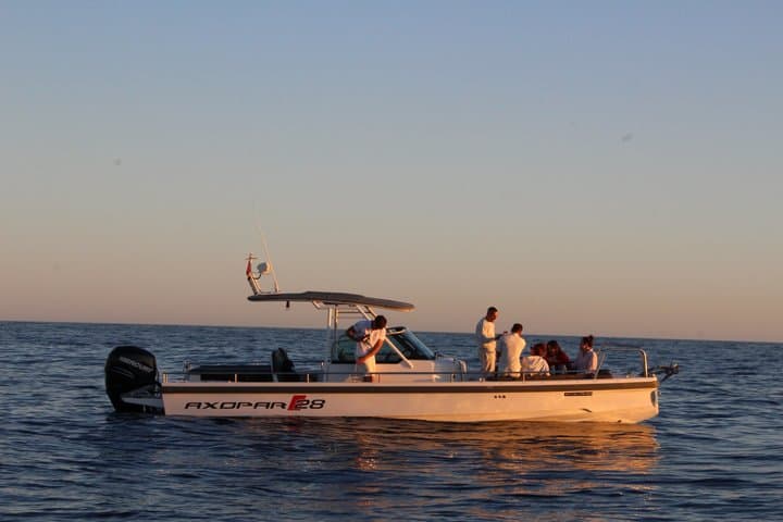 4-hour boat trip with snorkeling and paddle surfing in coves