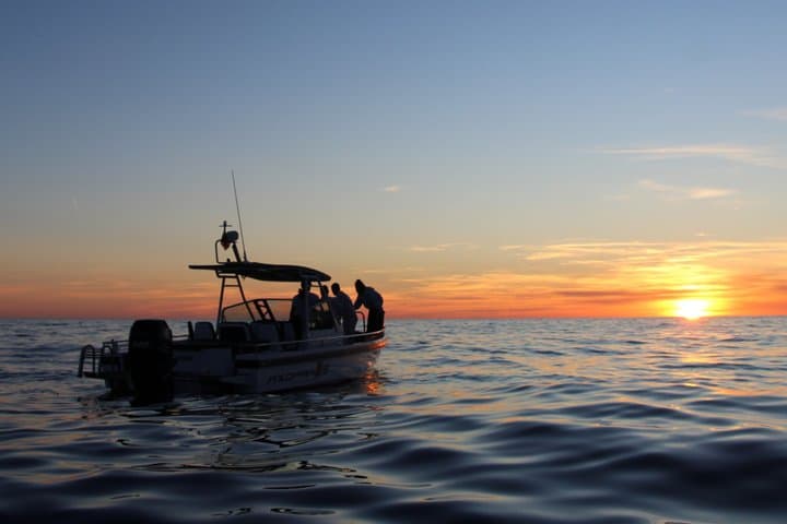 4-hour boat trip with snorkeling and paddle surfing in coves