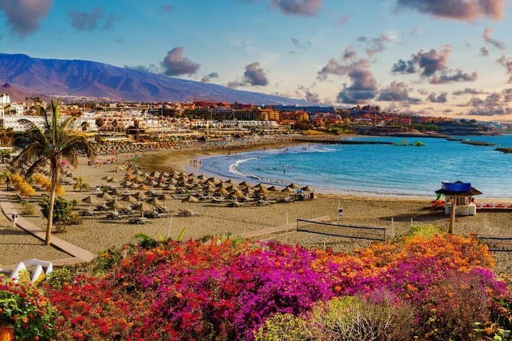 Private Shore Tour: Whale Watching Adventure in Costa Adeje