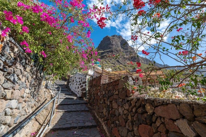 Private Shore Tour: Masca Eco Experience