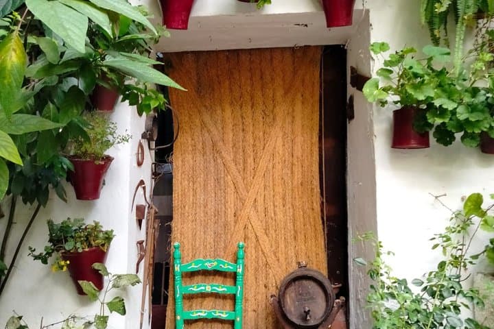 Guided Tour of the Courtyards of Cordoba