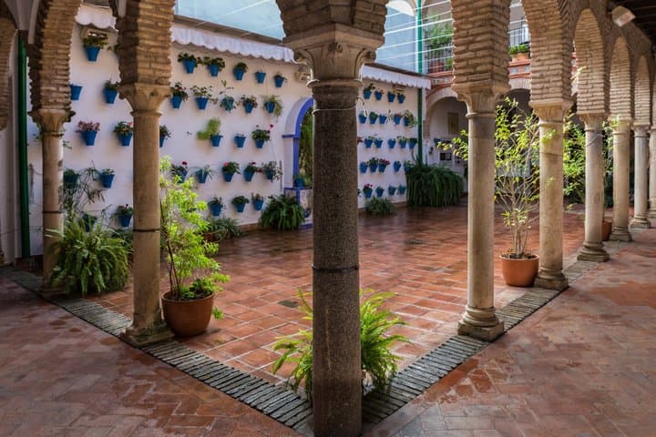 Guided Tour of the Courtyards of Cordoba