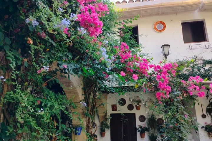 Guided Tour of the Courtyards of Cordoba