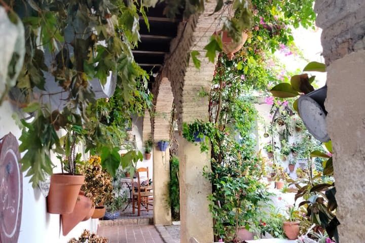 Guided Tour of the Courtyards of Cordoba