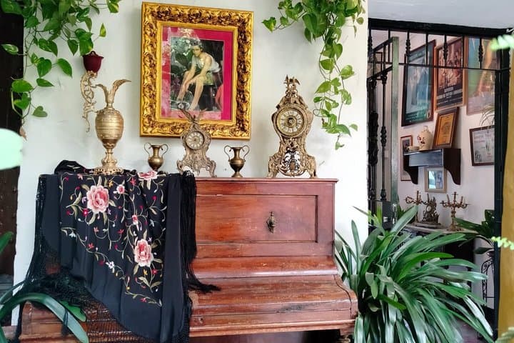 Guided Tour of the Courtyards of Cordoba