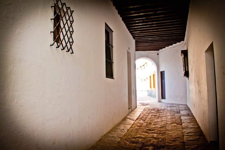 Discover Seville in Luxury – Private Tour of Iconic Landmarks