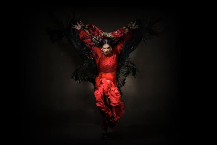 Flamenco Show at the Flamenco Tavern in Malaga