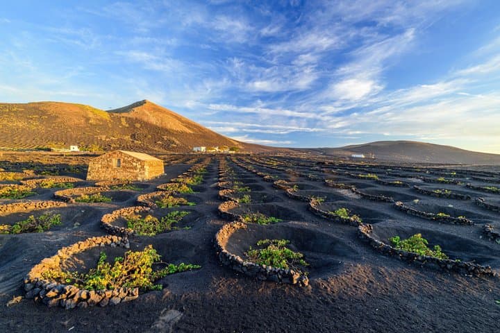 Lanzarote South Zone Private Shore Tour