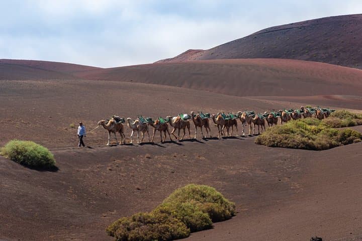 Lanzarote South Zone Private Shore Tour