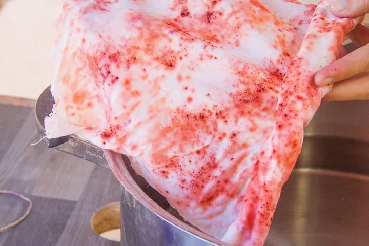 Natural Dyes Workshop in Fuerteventura
