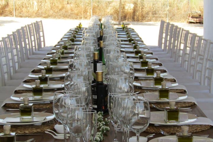 Organic EVOO Tasting Experience in Don Quixote’s Land