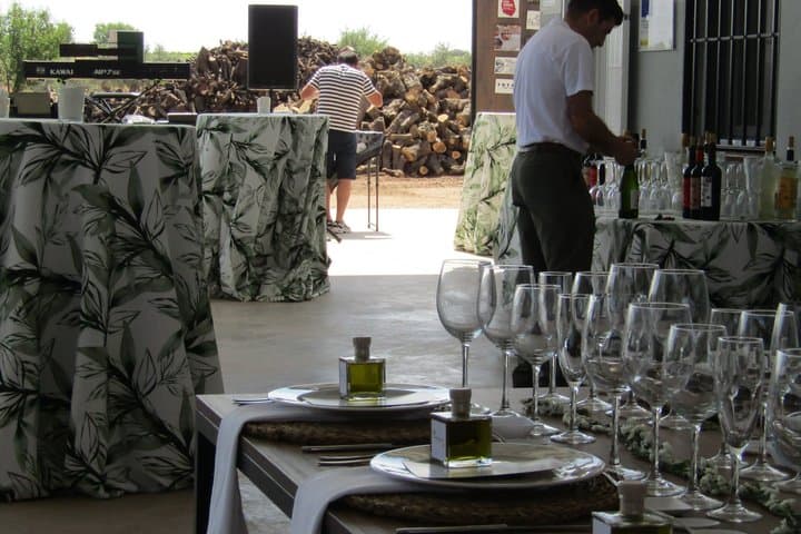 Organic EVOO Tasting Experience in Don Quixote’s Land