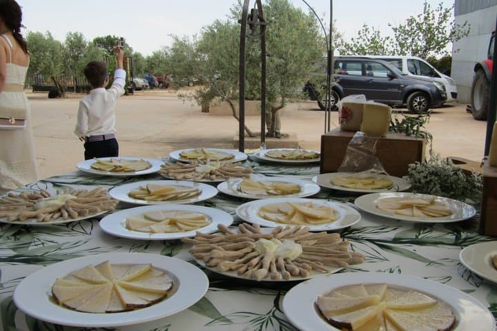 Organic EVOO Tasting Experience in Don Quixote’s Land