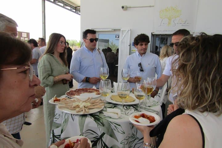 Organic EVOO Tasting Experience in Don Quixote’s Land