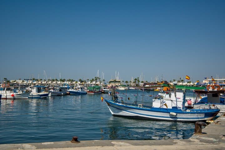 Tour Traditional Market of Benidorm Local Experience