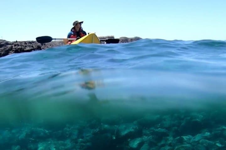 Private Kayak & Snorkel in Alcalá: single kayaks, max. 6 people