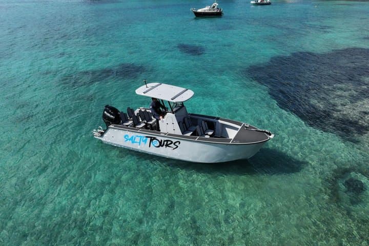 Charter Tour of Palma Bay: Snorkeling and Paddle Surfing