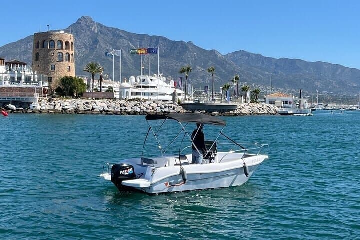 Boat rental in Marbella with dolphin watching