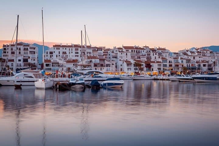 Boat rental in Marbella with dolphin watching