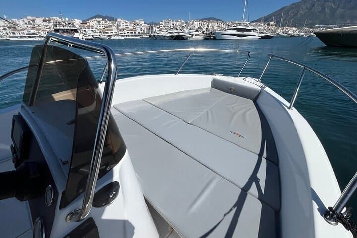 Boat rental in Marbella with dolphin watching