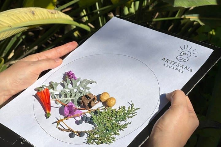 Discover Valencia’s Parks, Create Ceramic Art