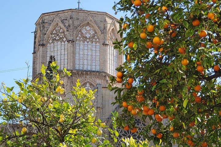Discover Valencia’s Parks, Create Ceramic Art