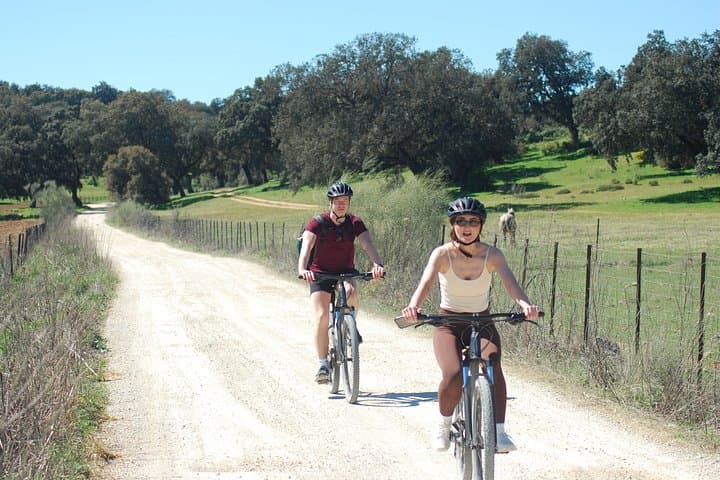 Self Guided Cycling Adventure from Ronda to Setenil