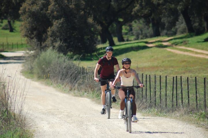 E-Bike Tour from Ronda to Setenil de las Bodegas